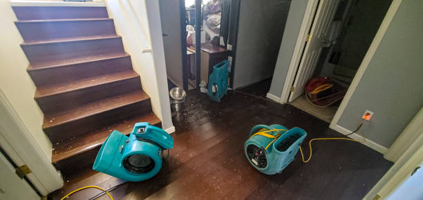 Best Water damage restoration near me  in Old Bethpage, NY