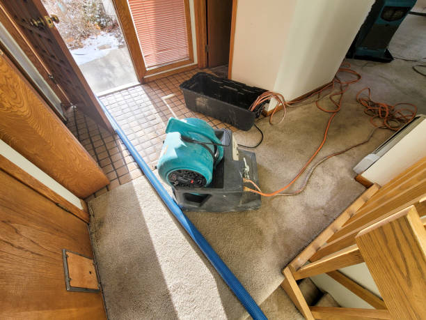 Carpet water damage restoration in NY