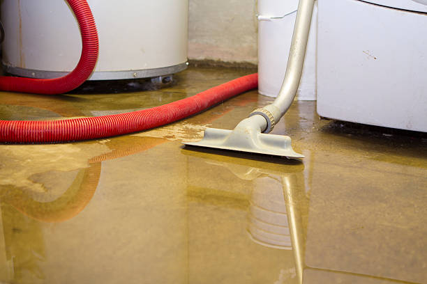 Best 24-hour water damage restoration  in Old Bethpage, NY