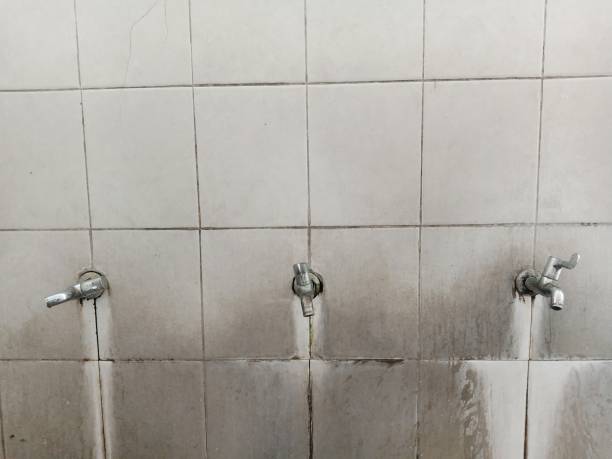 Best Flood restoration services  in Old Bethpage, NY