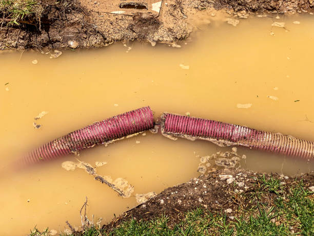 Best Water damage cleanup near me  in Old Bethpage, NY